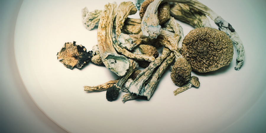 Cook Magic Mushrooms